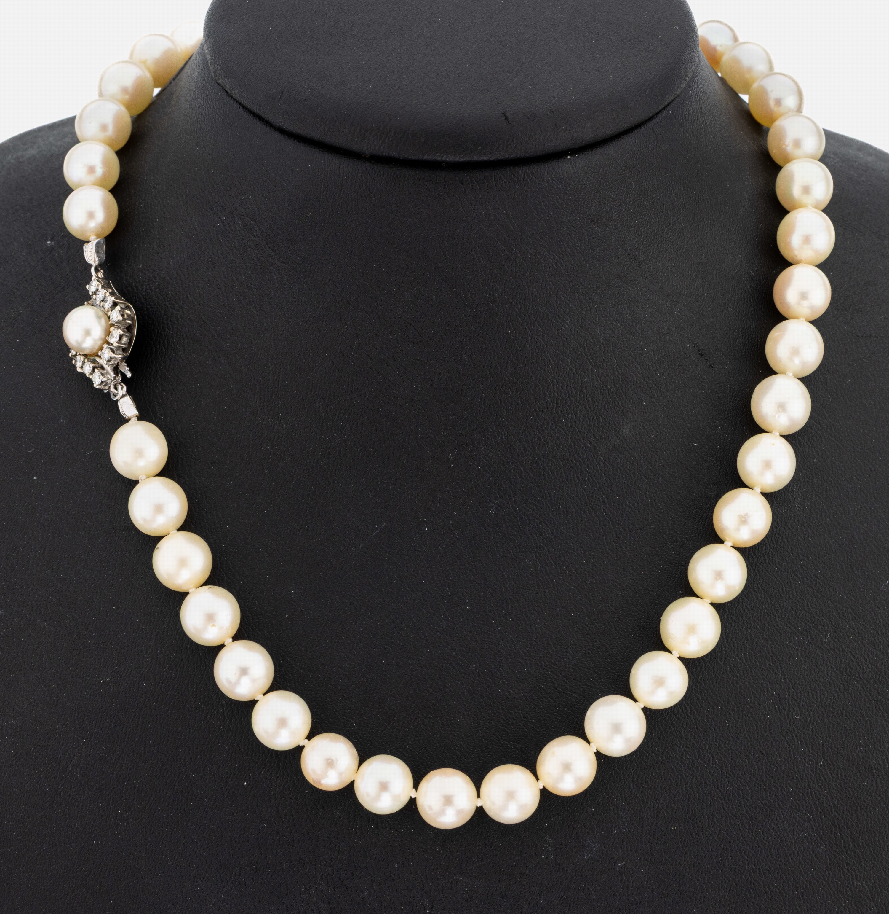 Image 27037303 - Zuchtperl-Collier mit 14 kt Gold Brillant- Schmuckschließe, WG 585/000, cremefarb. ...