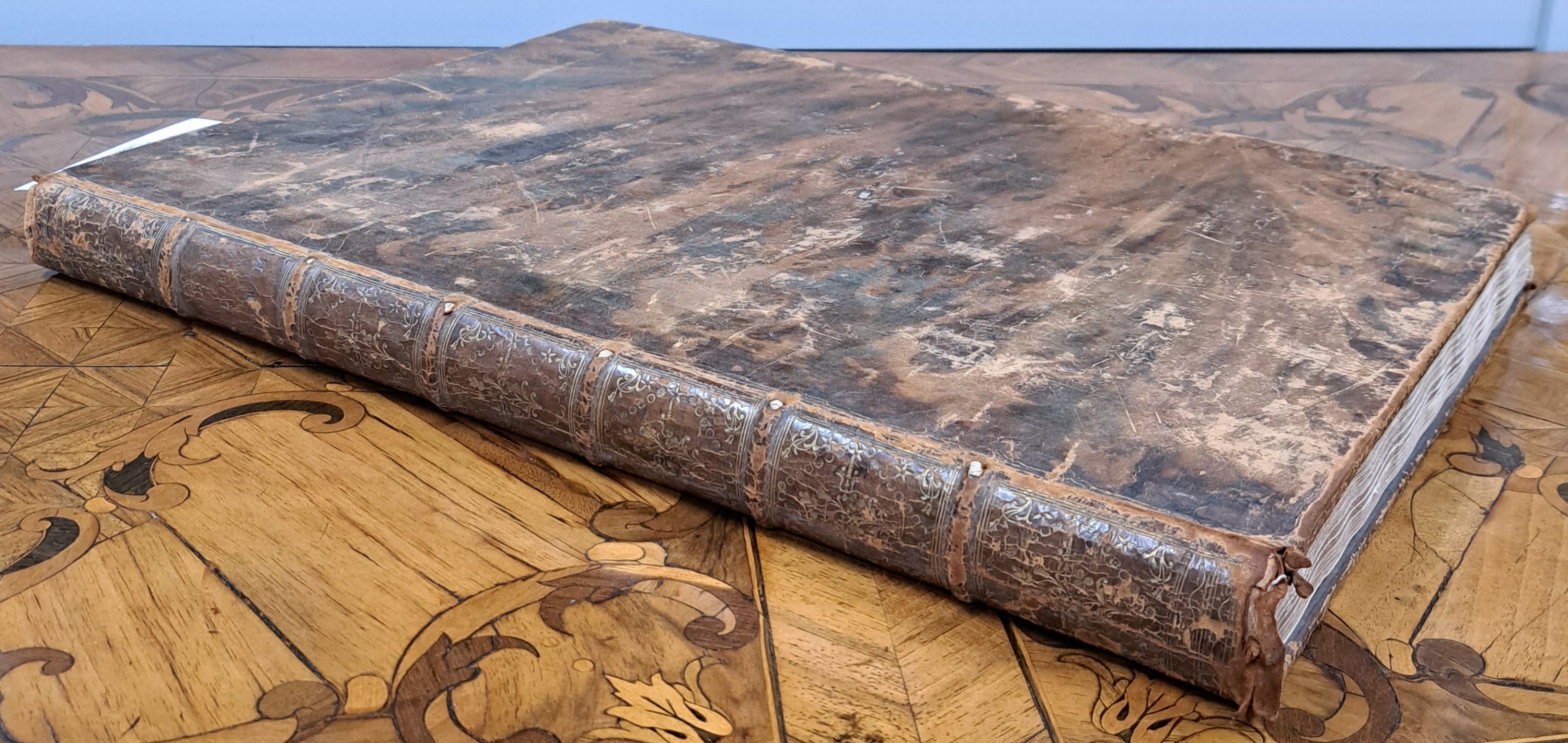 Detail c: August Johann Rösel von Rosenhof (1705-1759): Die natürliche Historie der Frösche hiesigen Landes, Nürnberg, Johann Joseph Fleischmann 1758, ...