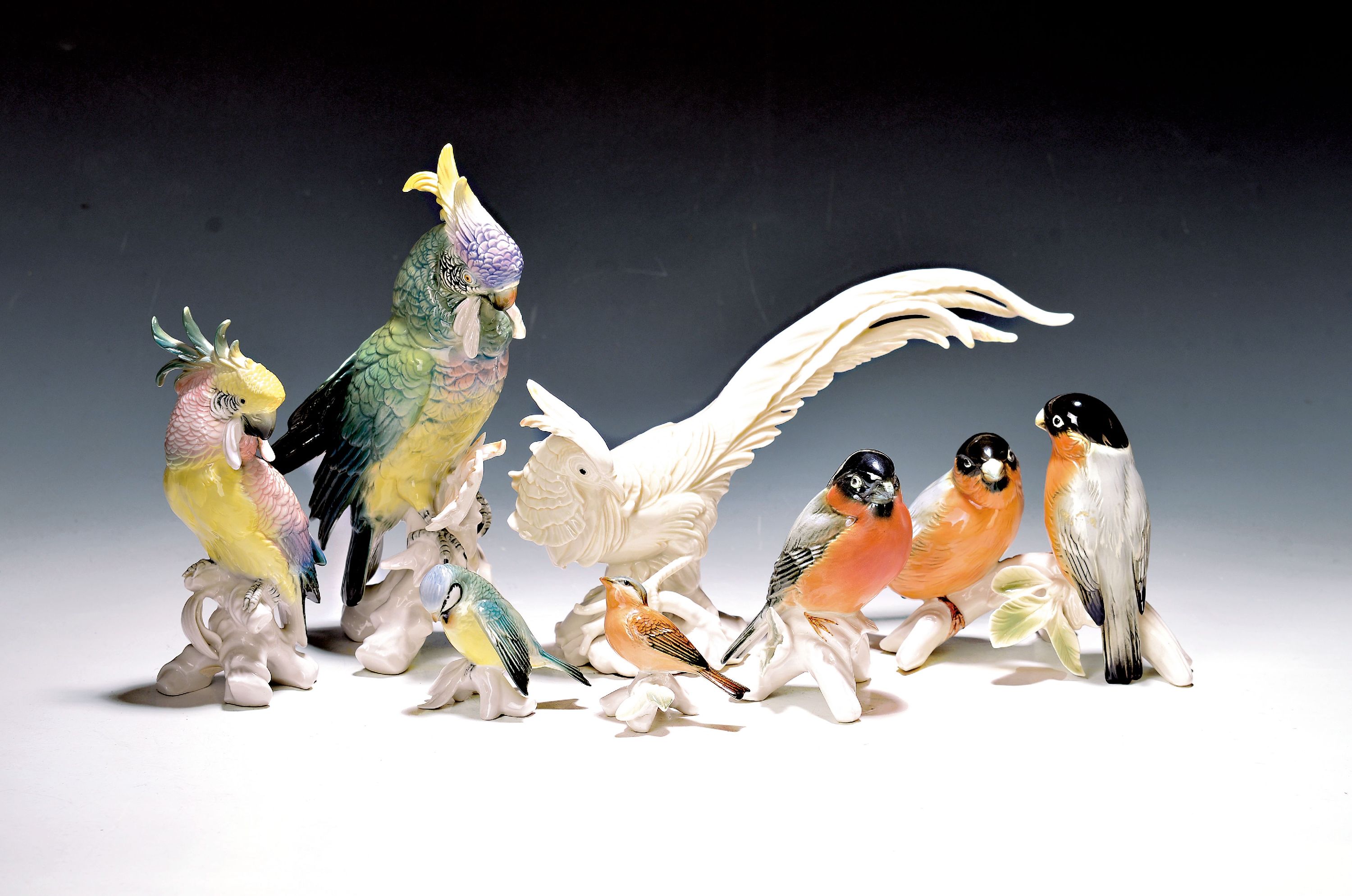 Image 27037900 - 9 Porzellanvögel, Ens, 20. Jh., und ein Aufsteller, Papageien, Fasan und andere Vögel, ...