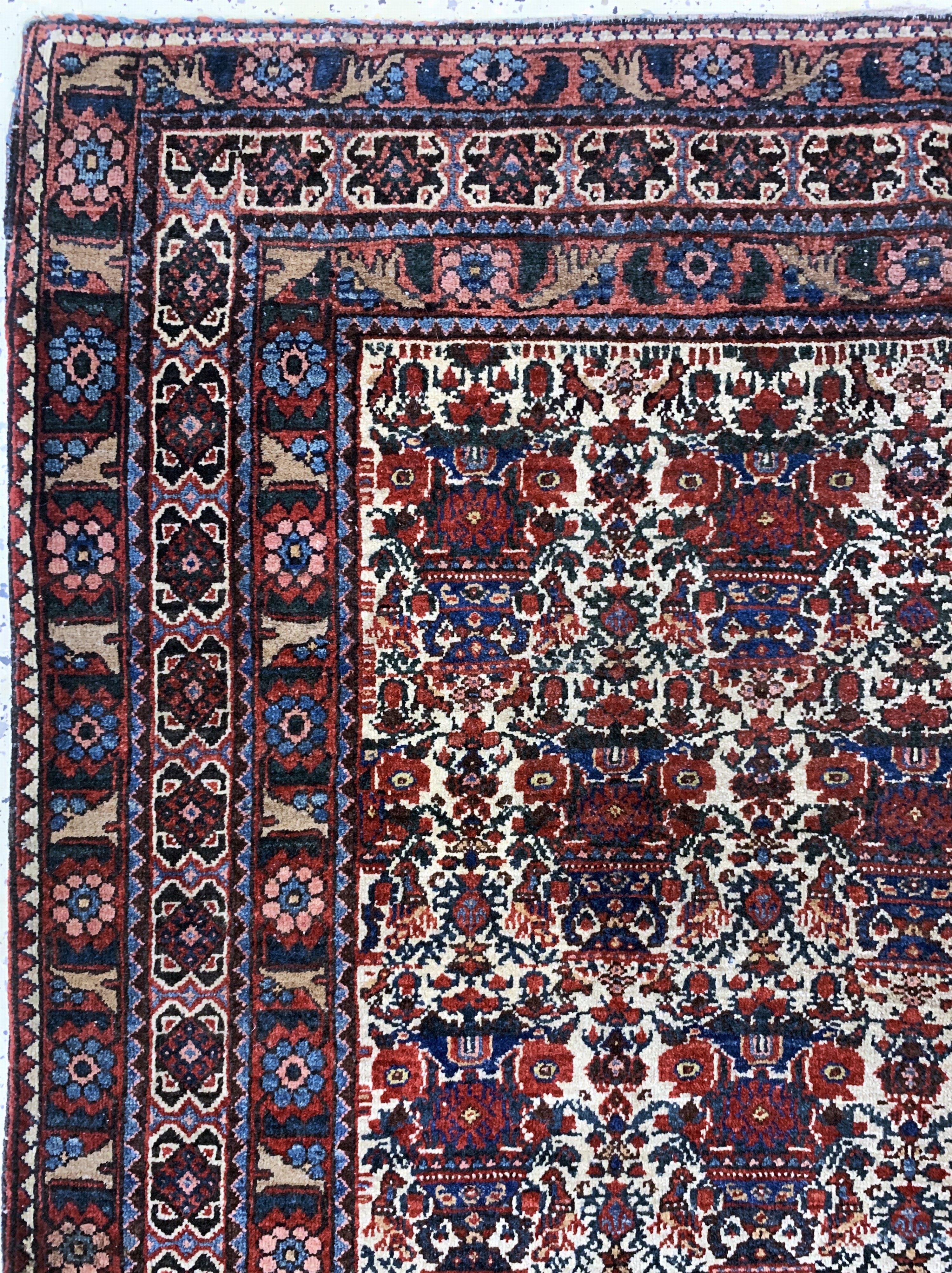 Detail d: Antiker Afschar, Persien, um 1900, Wolle auf Baumwolle, ca. 213 x 148 cm, EHZ: 3