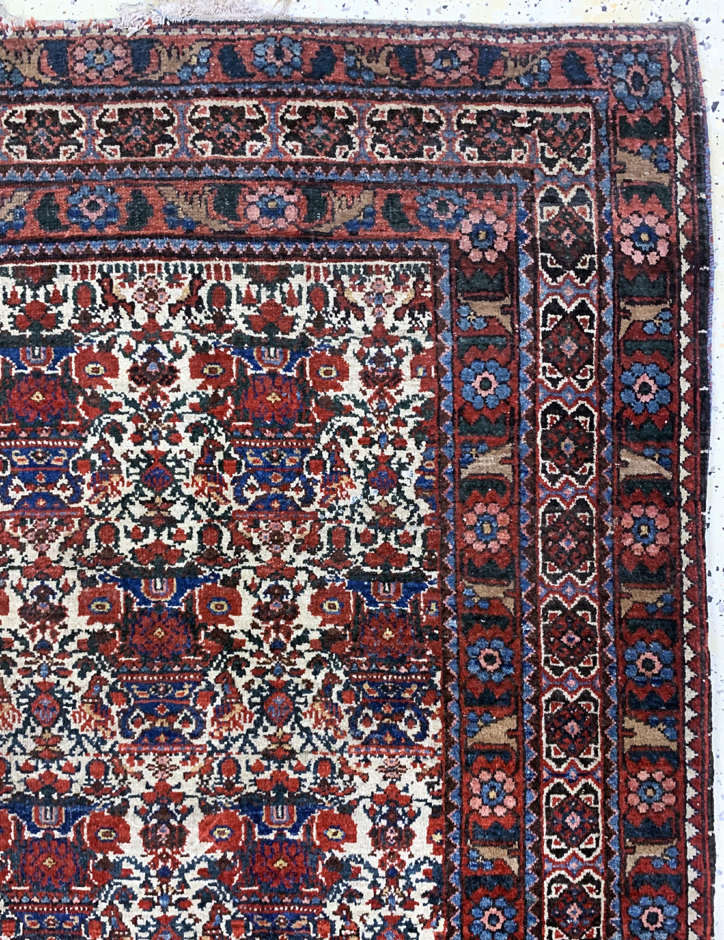 Detail e: Antiker Afschar, Persien, um 1900, Wolle auf Baumwolle, ca. 213 x 148 cm, EHZ: 3