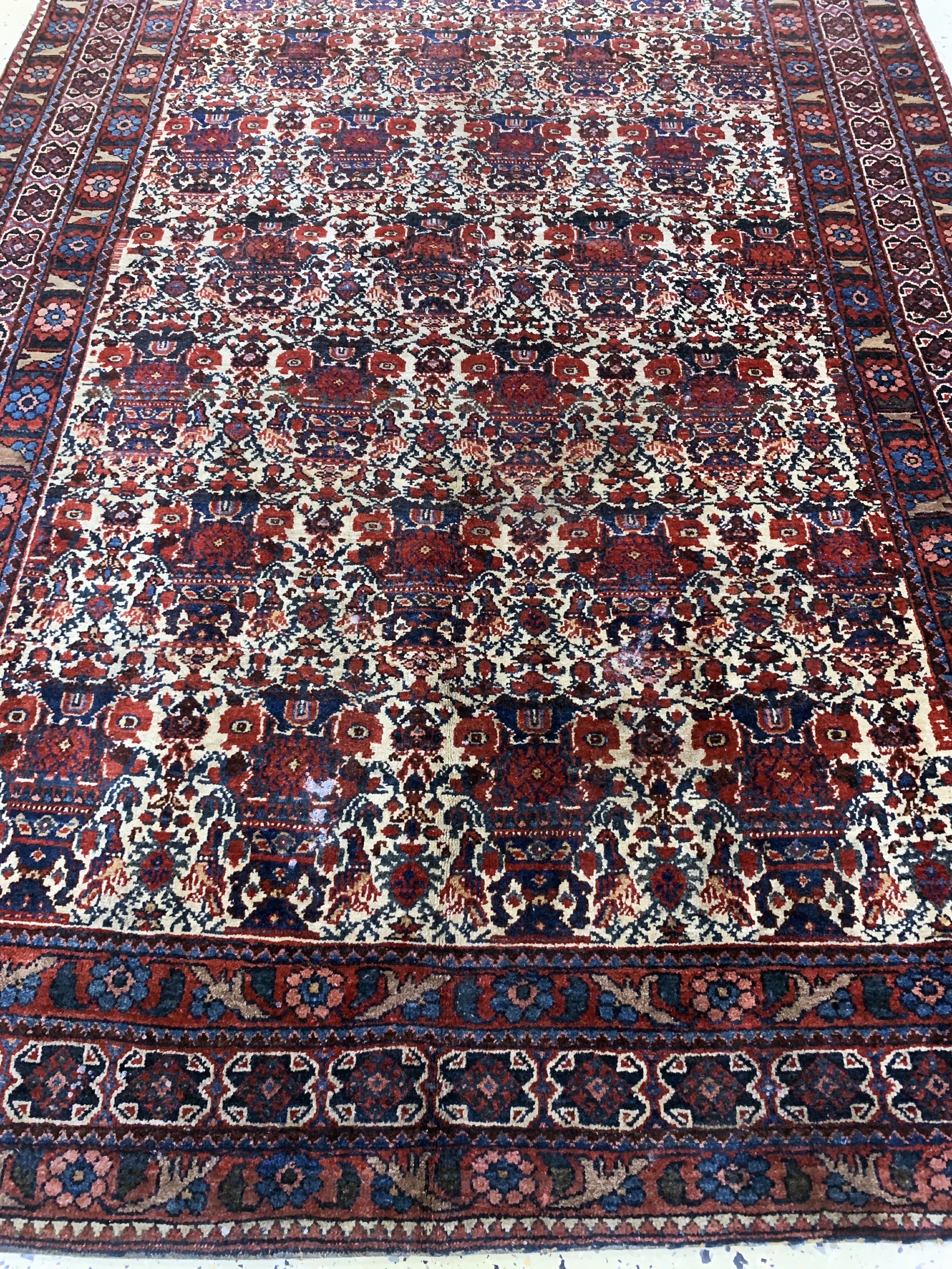 Detail f: Antiker Afschar, Persien, um 1900, Wolle auf Baumwolle, ca. 213 x 148 cm, EHZ: 3