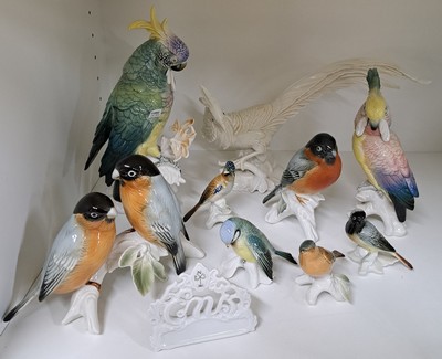 27037900a - 9 Porzellanvögel, Ens, 20. Jh., und ein Aufsteller, Papageien, Fasan und andere Vögel, ...