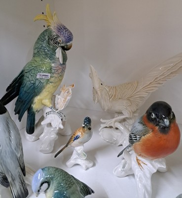 27037900b - 9 Porzellanvögel, Ens, 20. Jh., und ein Aufsteller, Papageien, Fasan und andere Vögel, ...