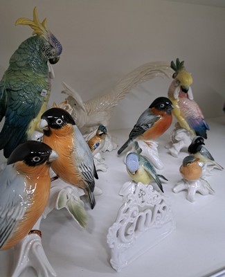 27037900c - 9 Porzellanvögel, Ens, 20. Jh., und ein Aufsteller, Papageien, Fasan und andere Vögel, ...