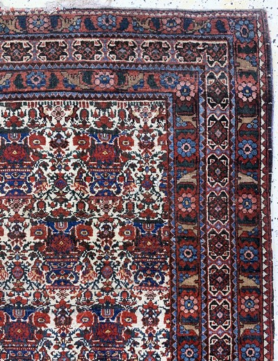 27037908e - Antiker Afschar, Persien, um 1900, Wolle auf Baumwolle, ca. 213 x 148 cm, EHZ: 3 ...