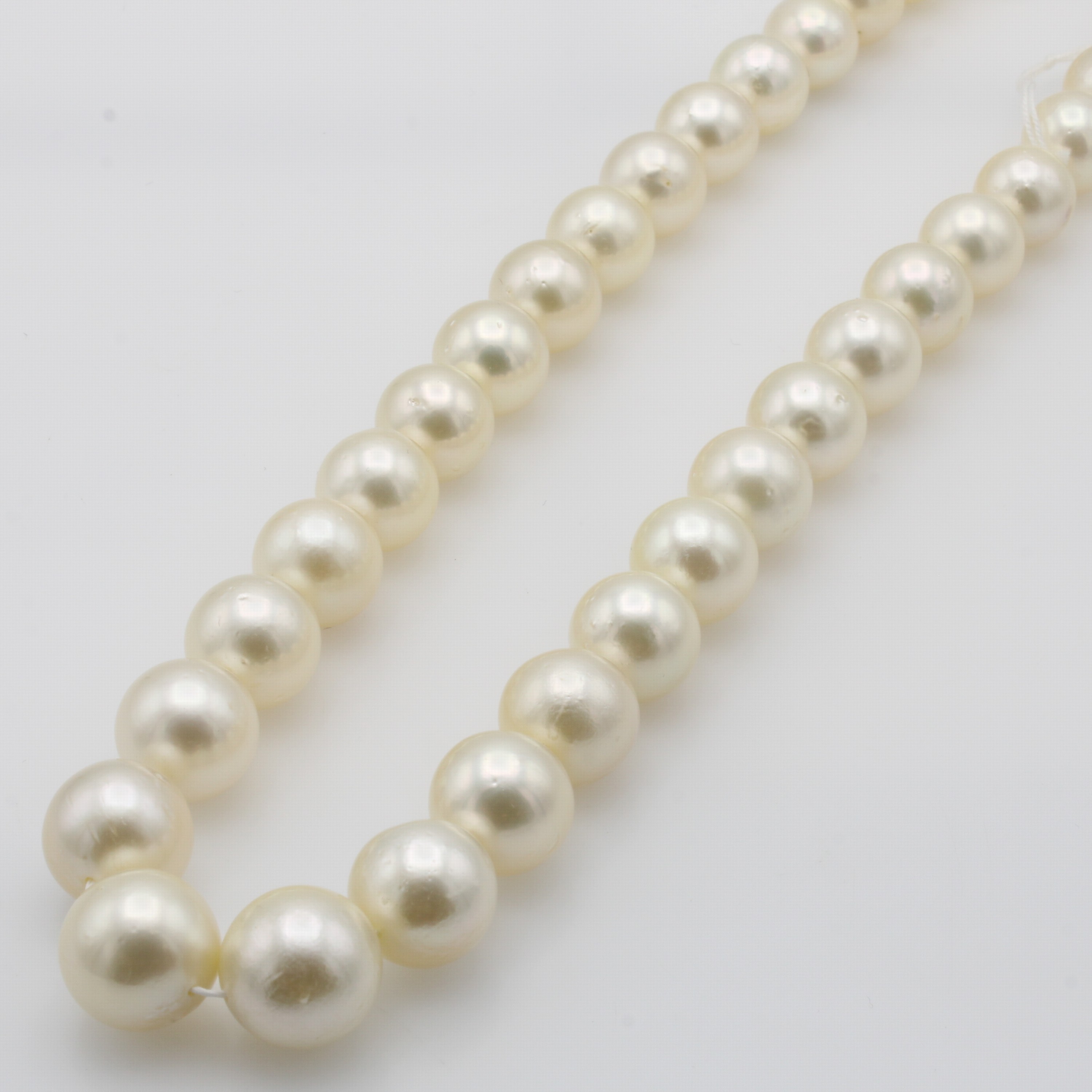 Image 27039815 - Südseezuchtperlstrang, 35 helle champangerf.Perlen im Verlauf, D. ca. 11-13.6 mm, L. ...