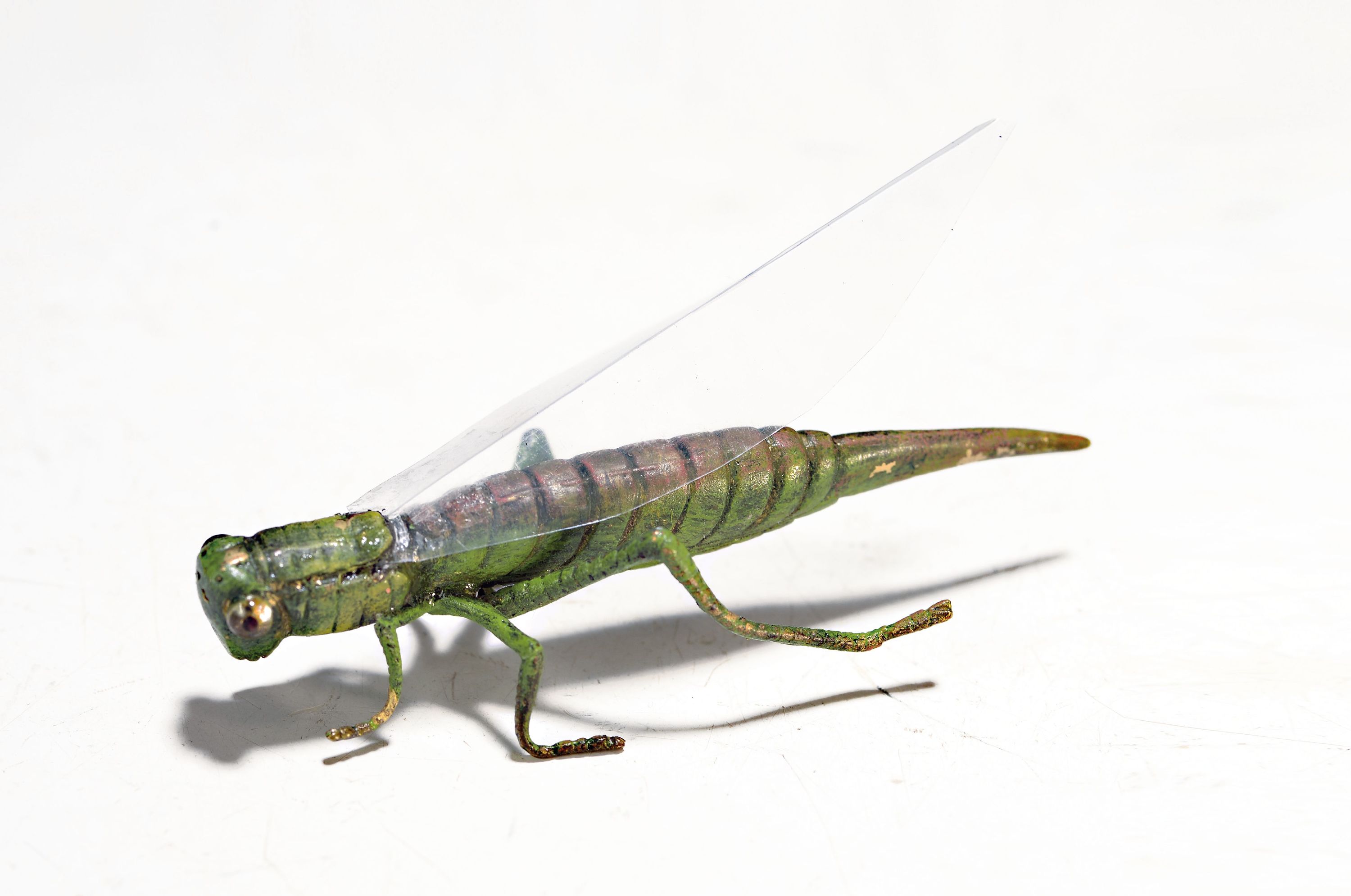 Image 27040795 - Wiener Bronze, sign. Franz Bergmann, Heuschrecke, polychrom staffiert, Flügel ...