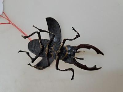 27040799b - Wiener Bronze, sign. Bergmann, Hirschkäfer, naturalistisch staffiert, L. ca. 7.5 cm