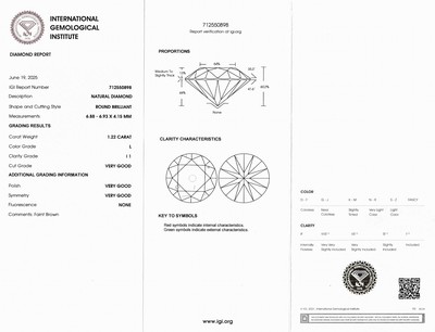27041619b - Loser Brillant, 1.22 ct Getöntes Weiß(L)/p1, eingeschweißt, IGI-Expertise