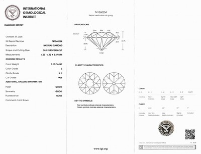 27041883b - Loser Altschliff-Diamant, 0.27 ct get. Weiß(L)/si1, eingeschweißt, mit IGI-Expertise ...