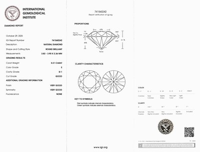 27041886b - Loser Brillant, 0.21 ct hochfeines Weiß(E)/si1, eingeschweißt, mit IGI-Expertise ...