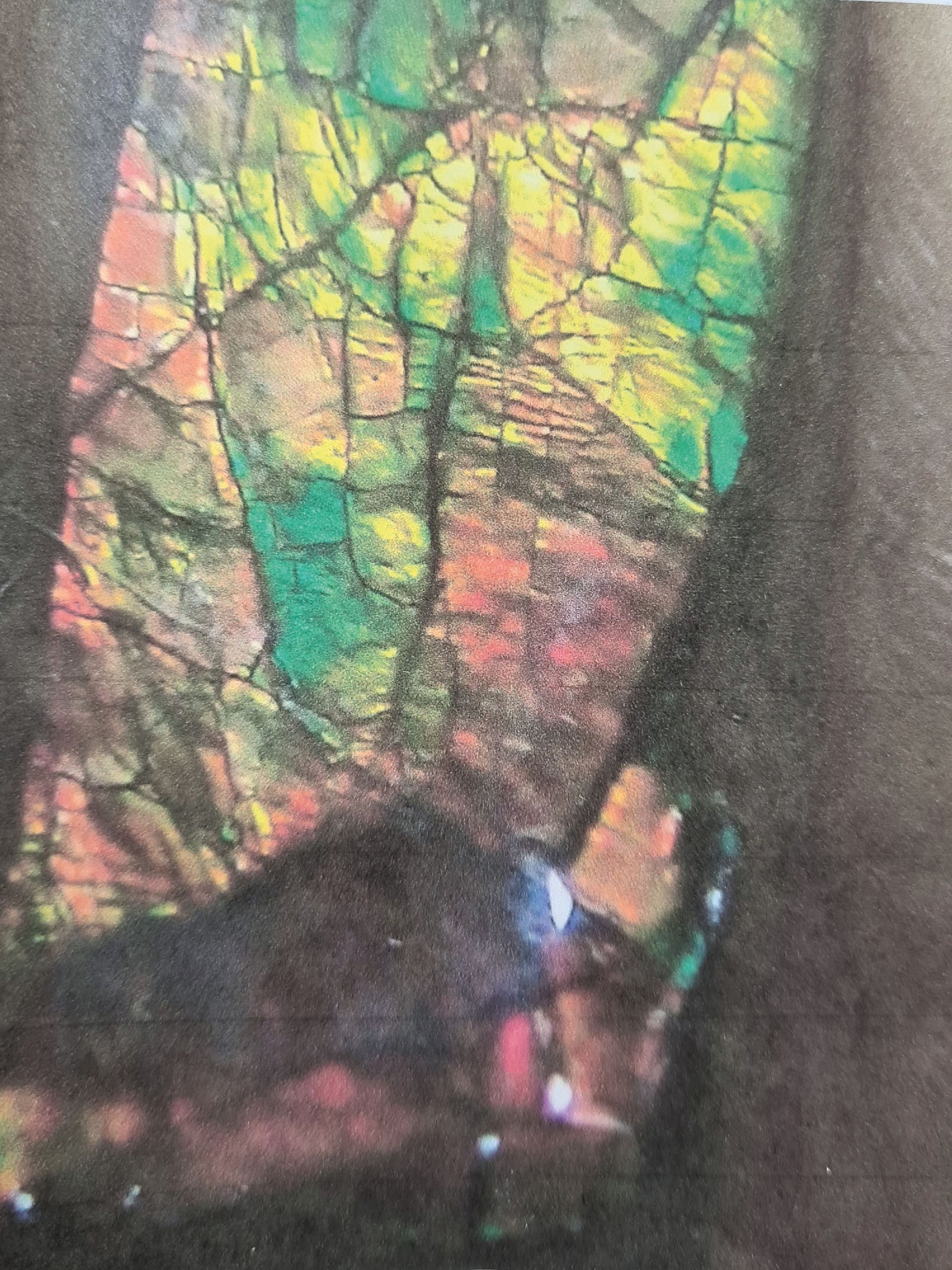 Detail c: Ammonit Placenticeras, Stein biogenen Ursprungs, Alberta/Kanada, stammt aus der versteinerten Schale einer Ammonitenart, sehr seltener Schmuckstein ...