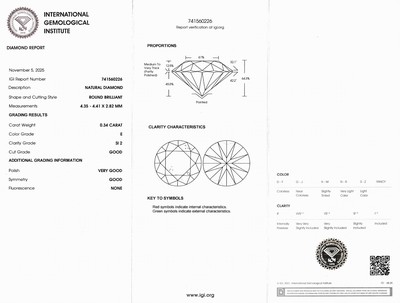 27042631a - Loser Brillant, 0.34 ct hochfeines Weiß(E)/si2, eingeschweißt, IGI-Expertise ...