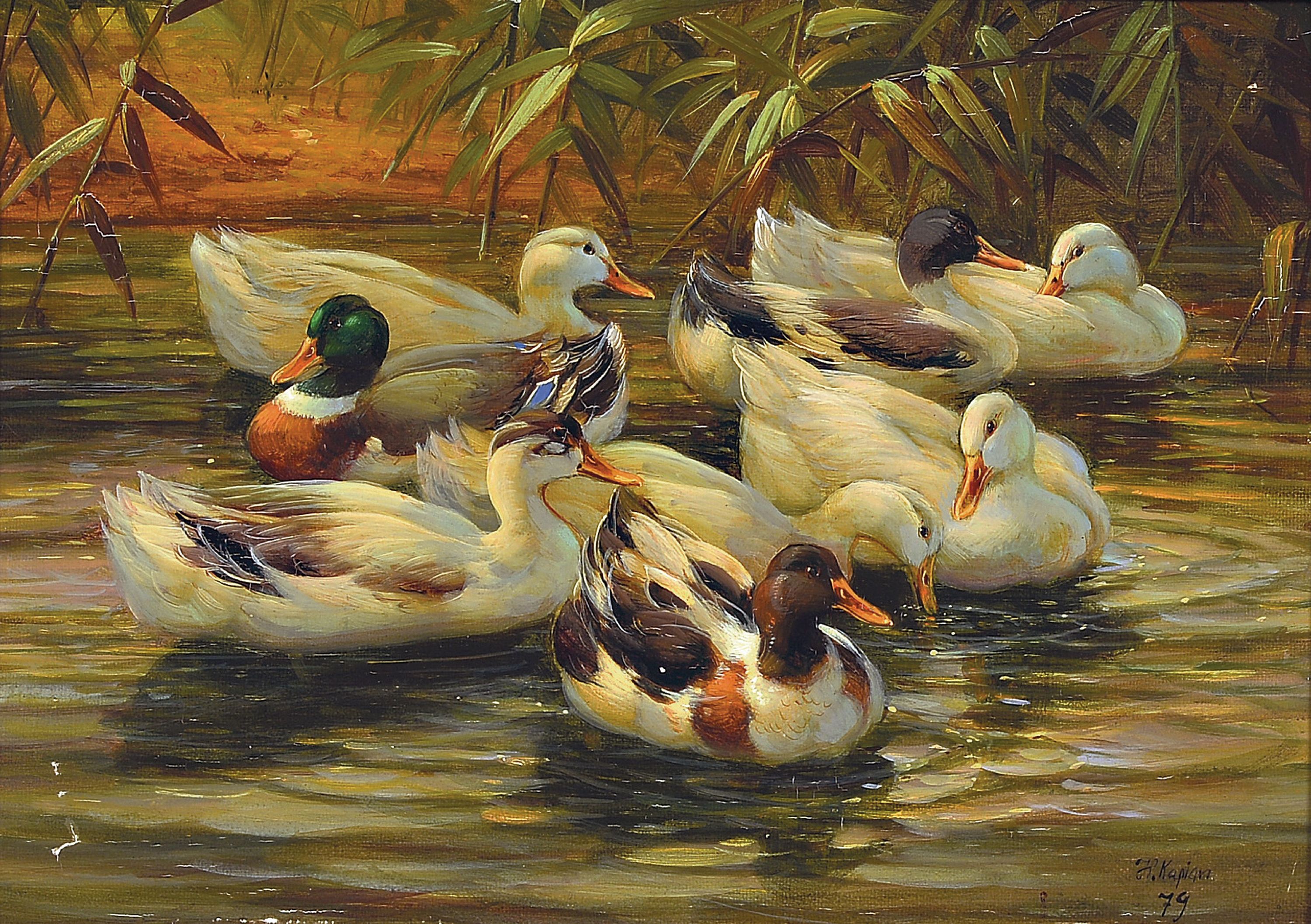 Image 27044559 - Hubert Kaplan, 1940-2024 München, Enten auf dem Wasser, Öl/Holz, rechts unten sign. ...