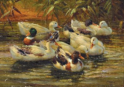 Image Hubert Kaplan, 1940-2024 München, Enten auf dem Wasser, Öl/Holz, rechts unten sign. ...