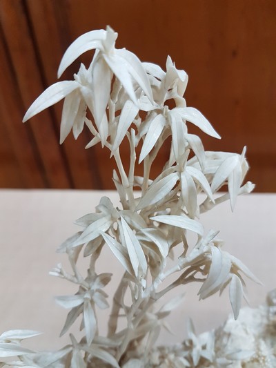 27047069m - Elfenbeinschnitzerei, China um 1900, Obstverkäuferin auf Floß, junge Frau mit ...