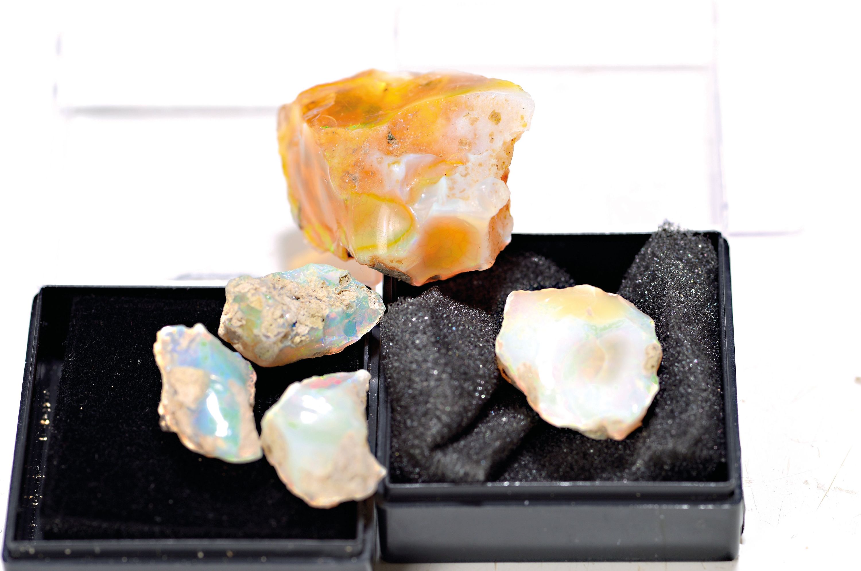 Sammlung aus 6 natürlichen äthiopischen Opalen,1. Ct 32.70 grob 6.54g (4), 4 Rohopale von 20 -22 mm; 2. ein natürl. Opal ungeschliffen, geölt, ...