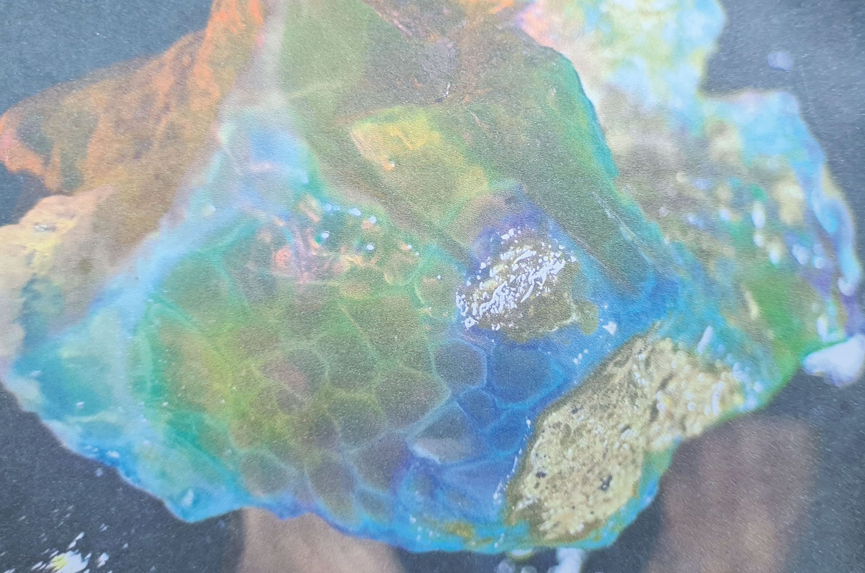 Detail b: Sammlung aus 6 natürlichen äthiopischen Opalen,1. Ct 32.70 grob 6.54g (4), 4 Rohopale von 20 -22 mm; 2. ein natürl. Opal ungeschliffen, geölt, ...
