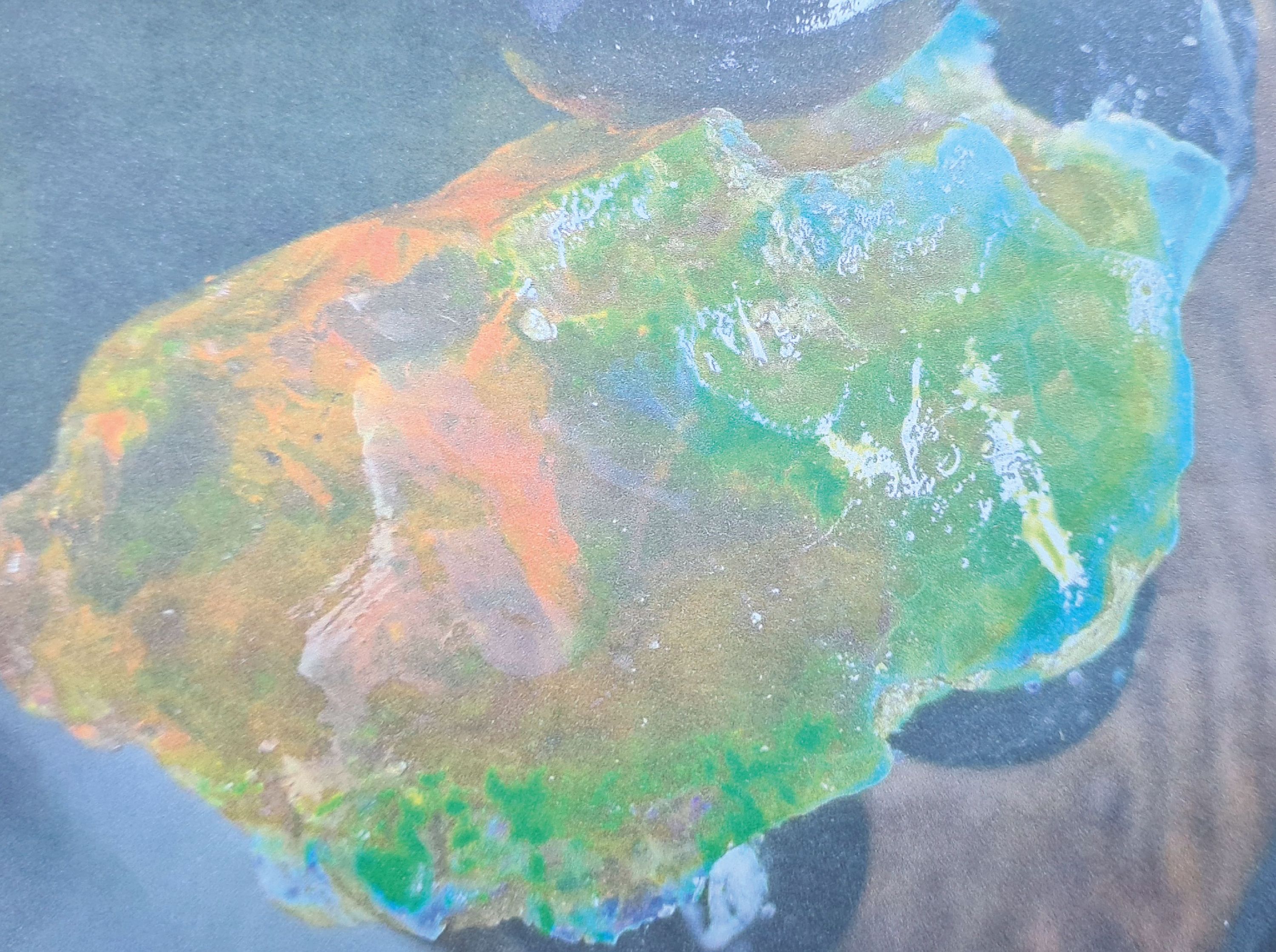 Detail c: Sammlung aus 6 natürlichen äthiopischen Opalen,1. Ct 32.70 grob 6.54g (4), 4 Rohopale von 20 -22 mm; 2. ein natürl. Opal ungeschliffen, geölt, ...