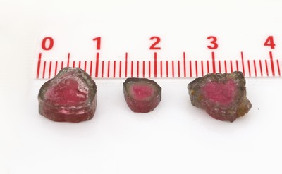 27047975a - Lot Wassermelonen-Turmaline, ca. 93.3 ct, Scheiben in versch. Größen, Formen und ...