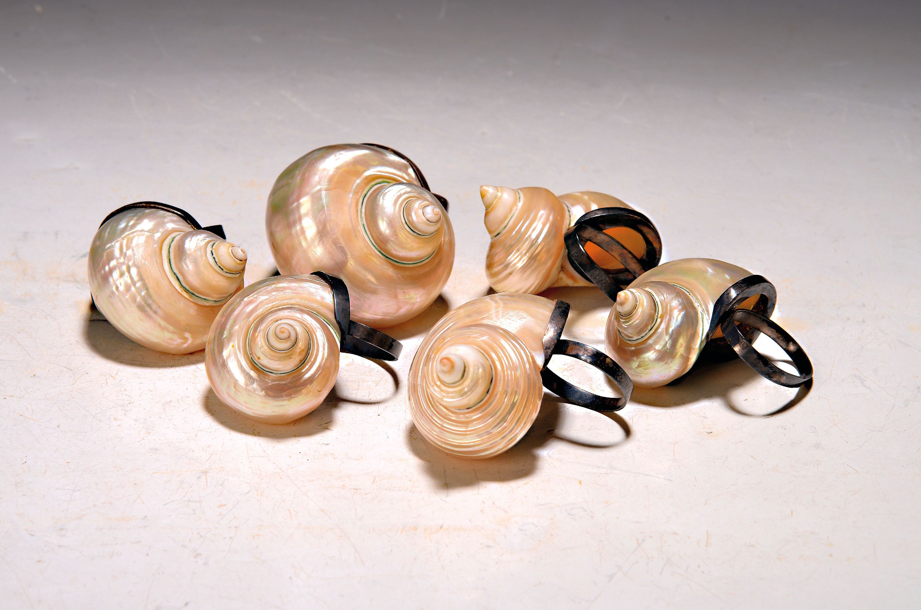 Image 27048053 - 11 außergewöhnliche Serviettenringe mit Meerschneckenhäusern, 20.Jh., Metallmontur ...