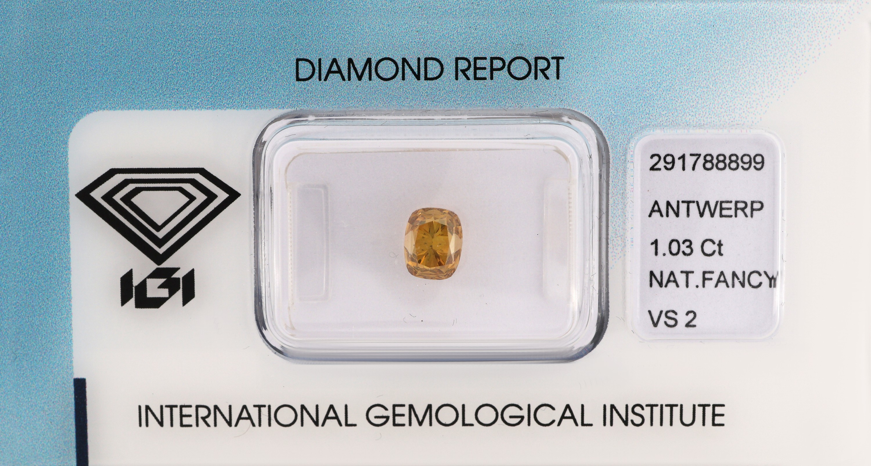 Image 27048169 - Loser Diamant im Cushion-Cut, 1.03 ct Natural Fancy Deep Greenish Brownish Yellow/vs2, ...