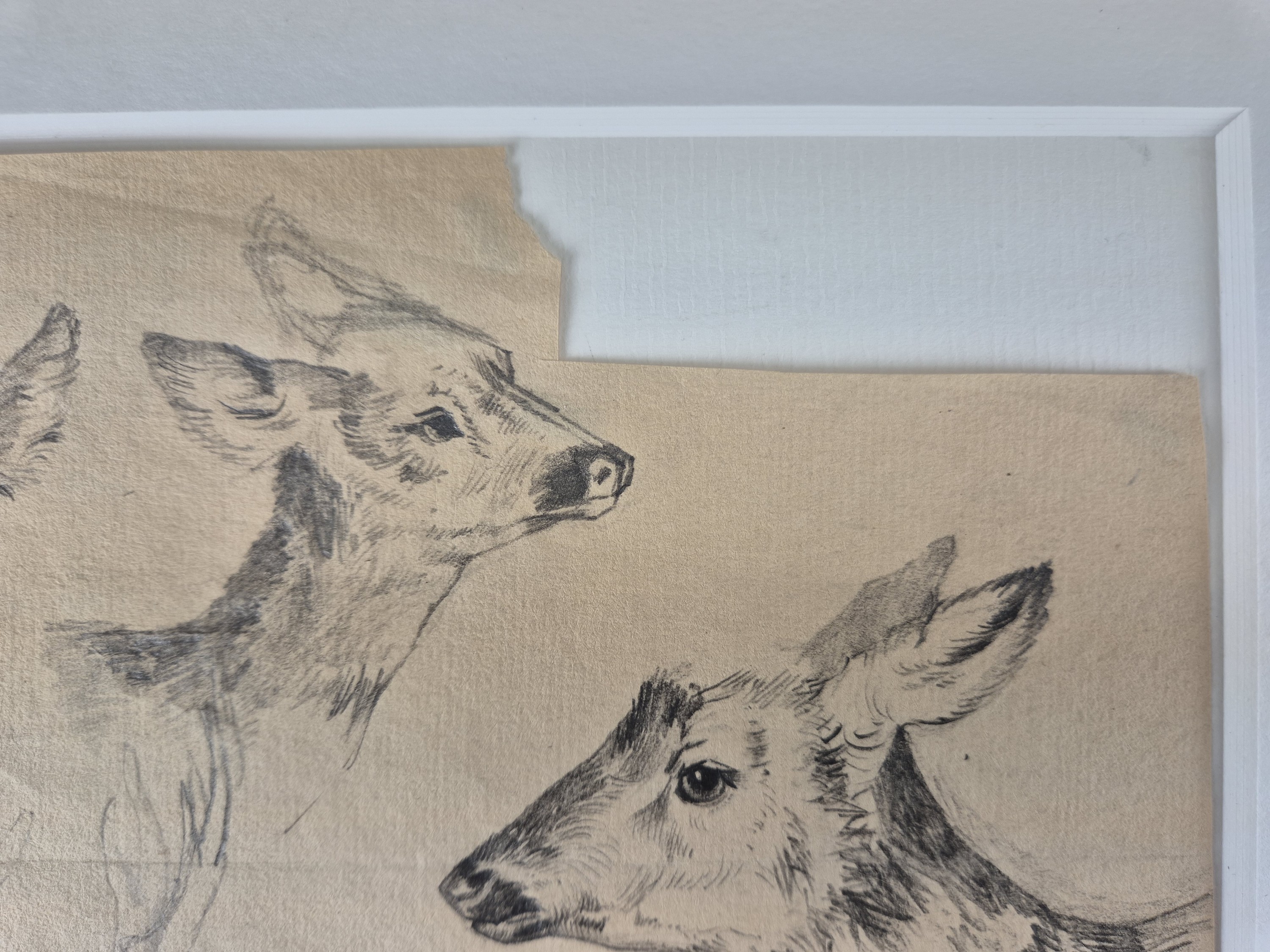Detail d: Rosa Bonheur, 1822 Bordeaux-1899 Thomery, Etude de cerfs, Studieblatt mit 8 Darstellungen von Rehen, unten links Signaturstempel (Lugt 275), ...