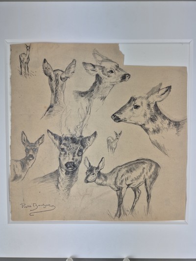 27048389a - Rosa Bonheur, 1822 Bordeaux-1899 Thomery, Etude de cerfs, Studieblatt mit 8 ...