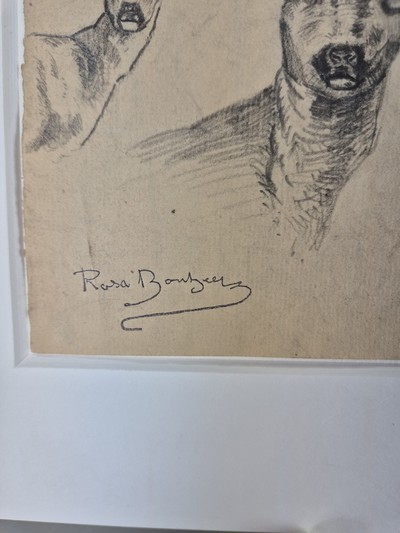 27048389b - Rosa Bonheur, 1822 Bordeaux-1899 Thomery, Etude de cerfs, Studieblatt mit 8 ...