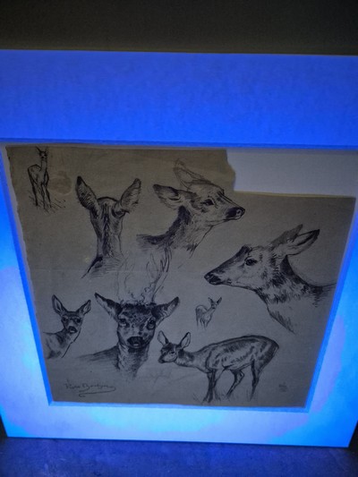 27048389e - Rosa Bonheur, 1822 Bordeaux-1899 Thomery, Etude de cerfs, Studieblatt mit 8 ...