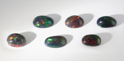 27049205b - Lot 6 lose schwarze Opale, zus. ca. 18.44 ct, ovale Cabochons in versch. Größen, ...