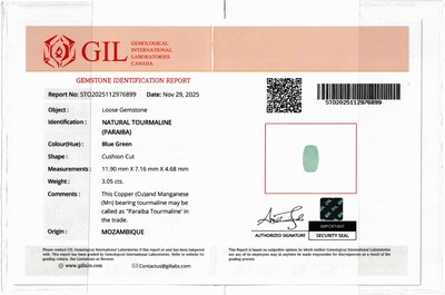 27049329c - Loser Turmalin, ca. 3.05 ct, Cushion Cut, ca. 11.90 x 7.16 x 4.68 mm, Herkunft Mosambik, ...