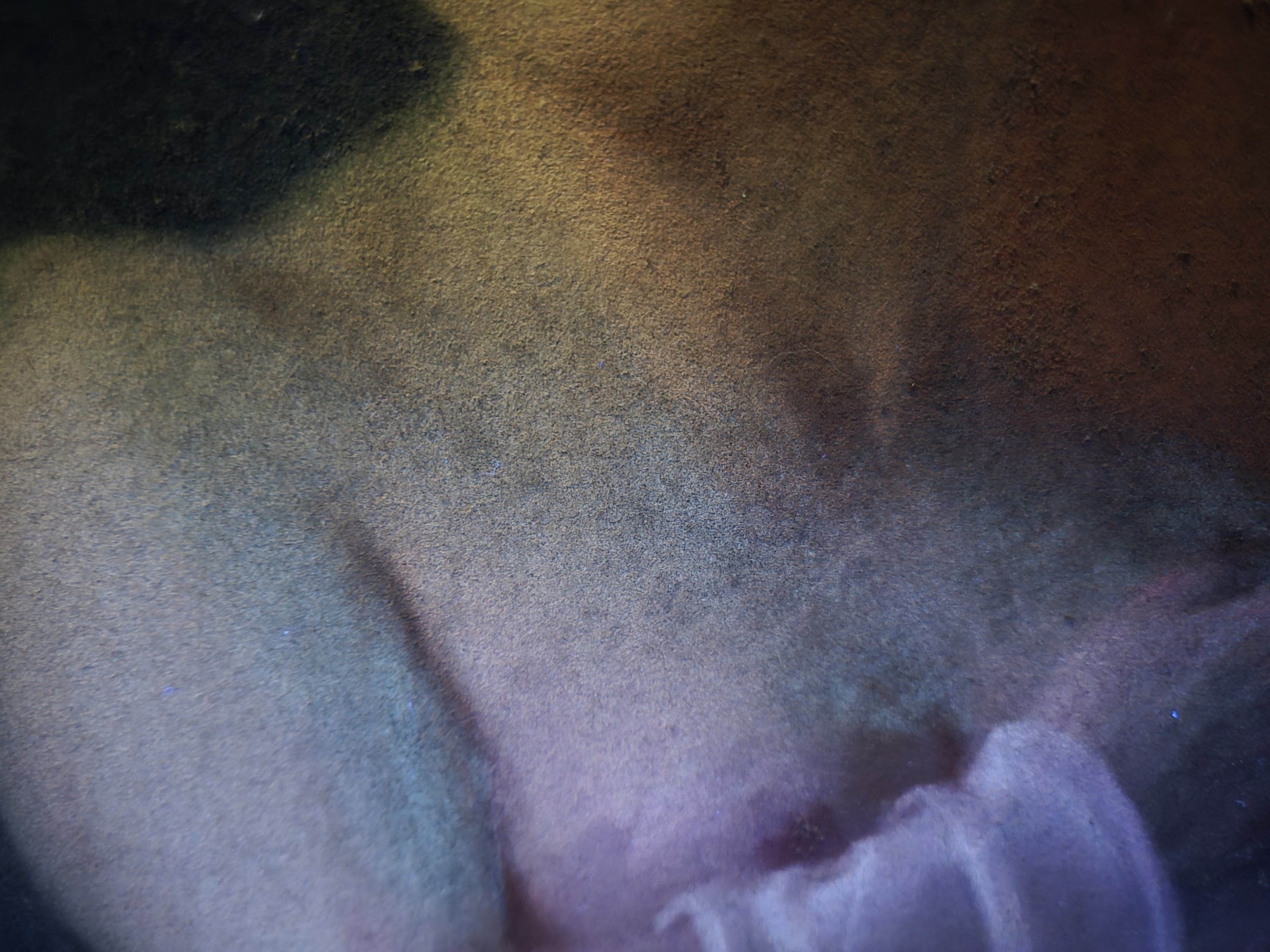 Detail i: Vit Skala, 1883-1967 Prag, Pastell auf Leinwand, stehender weiblicher Akt im Boudoir, schwer lesbar signiert, rückwärtige Abdeckplatte innen ...