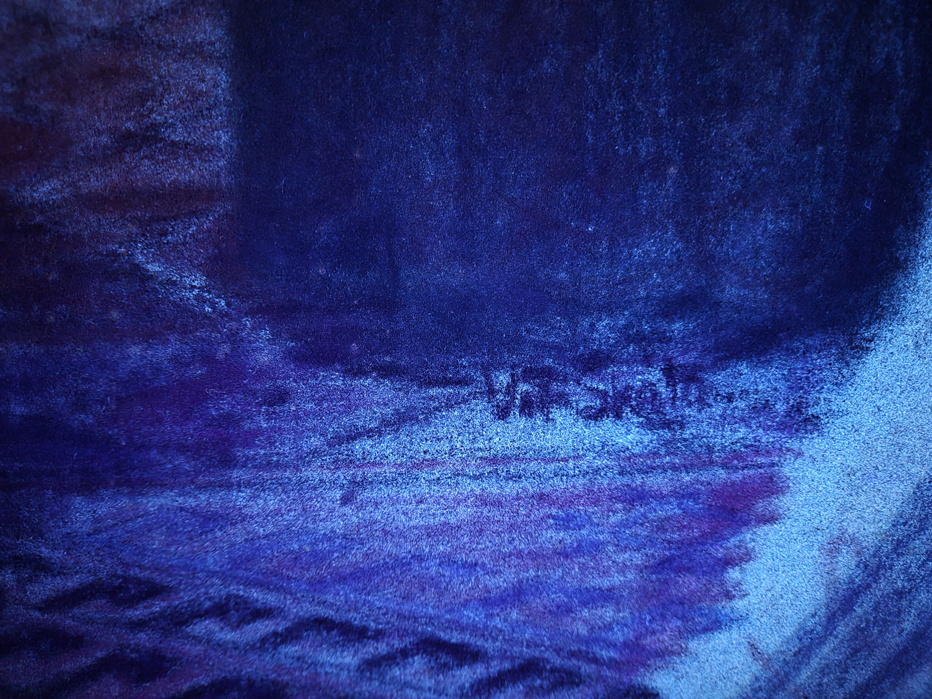 Detail k: Vit Skala, 1883-1967 Prag, Pastell auf Leinwand, stehender weiblicher Akt im Boudoir, schwer lesbar signiert, rückwärtige Abdeckplatte innen ...