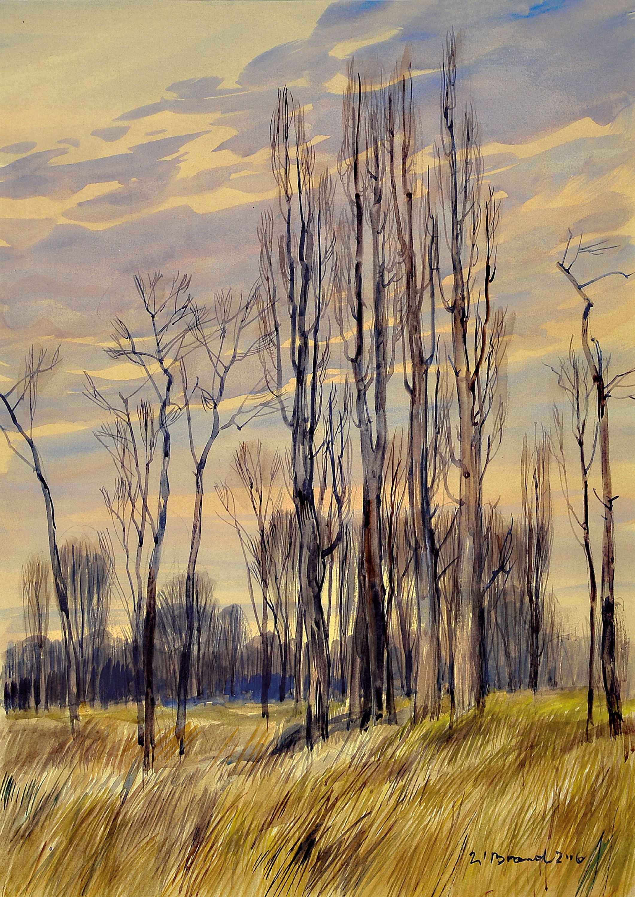 Image 27050124 - Werner Brand, 1933 Löbau-2021 Hochstadt, 2 Aquarelle: Pappeln im Winter, sign. und dat. ...