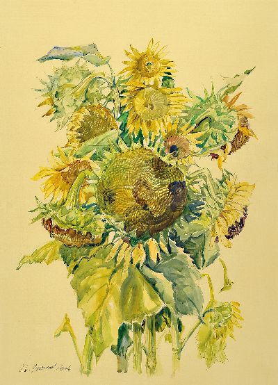 27050123b - Werner Brand, 1933 Löbau-2021 Hochstadt, 3 Aquarelle mit Sonnenblumendarstellungen, ...