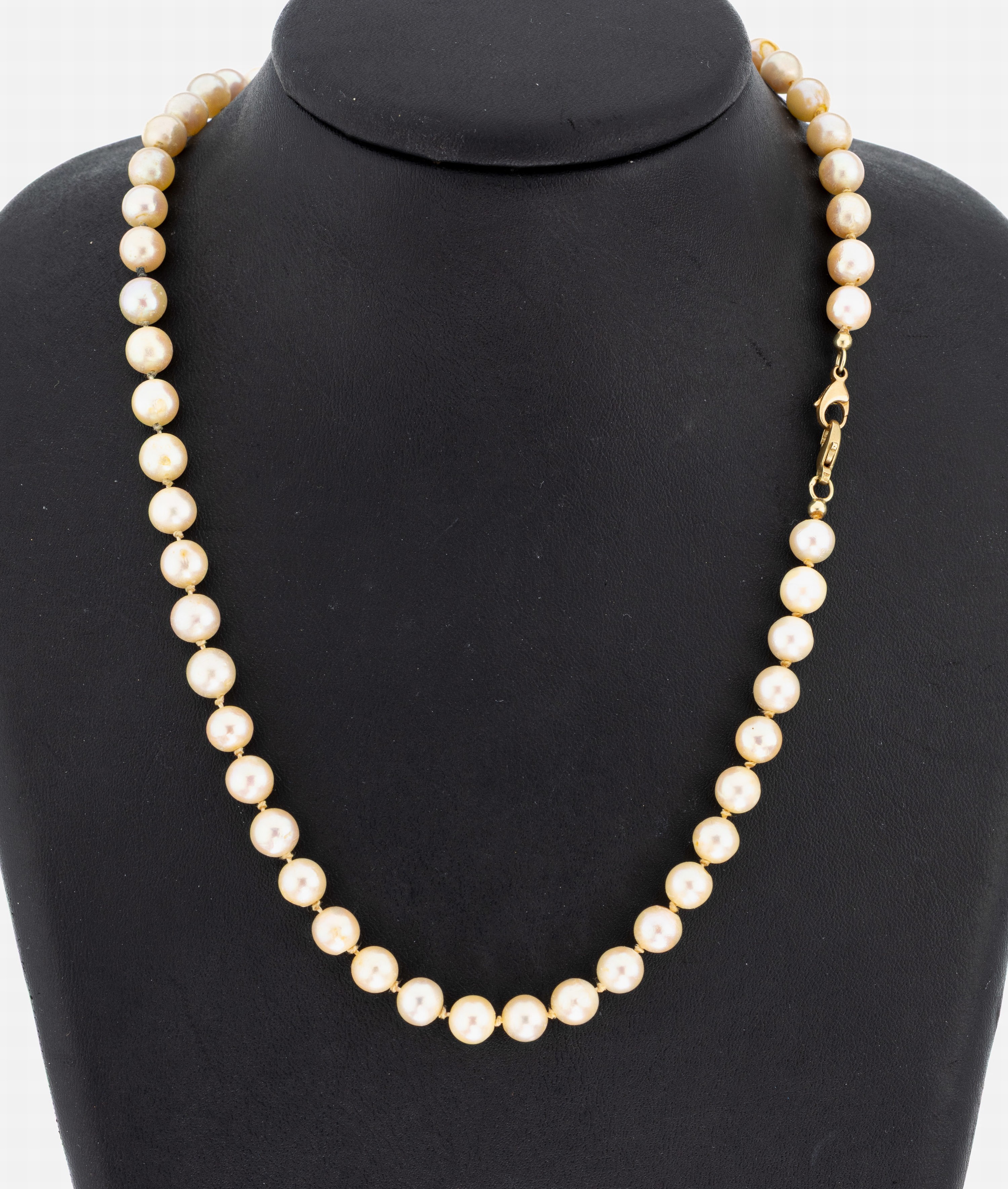 Image 27050639 - Akoyazuchtperl-Collier mit 14 kt Gold Schließe, GG 585/000, Akoyazuchtperlen, D. ca. ...