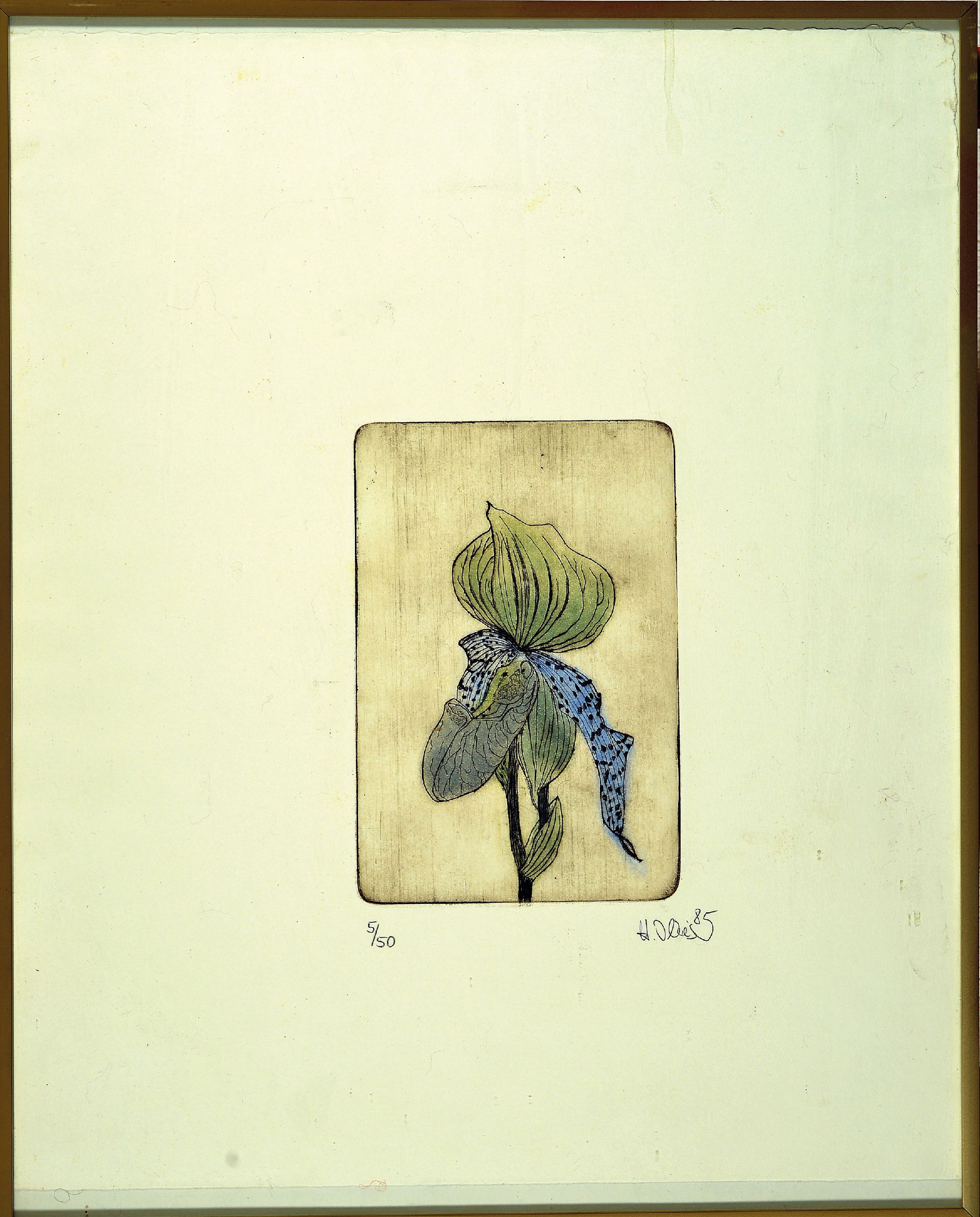 Detail l: Hildegard Illes, in Düsseldorf geborene Künstlerin, ansässig in der Pfalz, hier drei Farbradierungen: 2 x orchideen bez. Paphiodelium ...