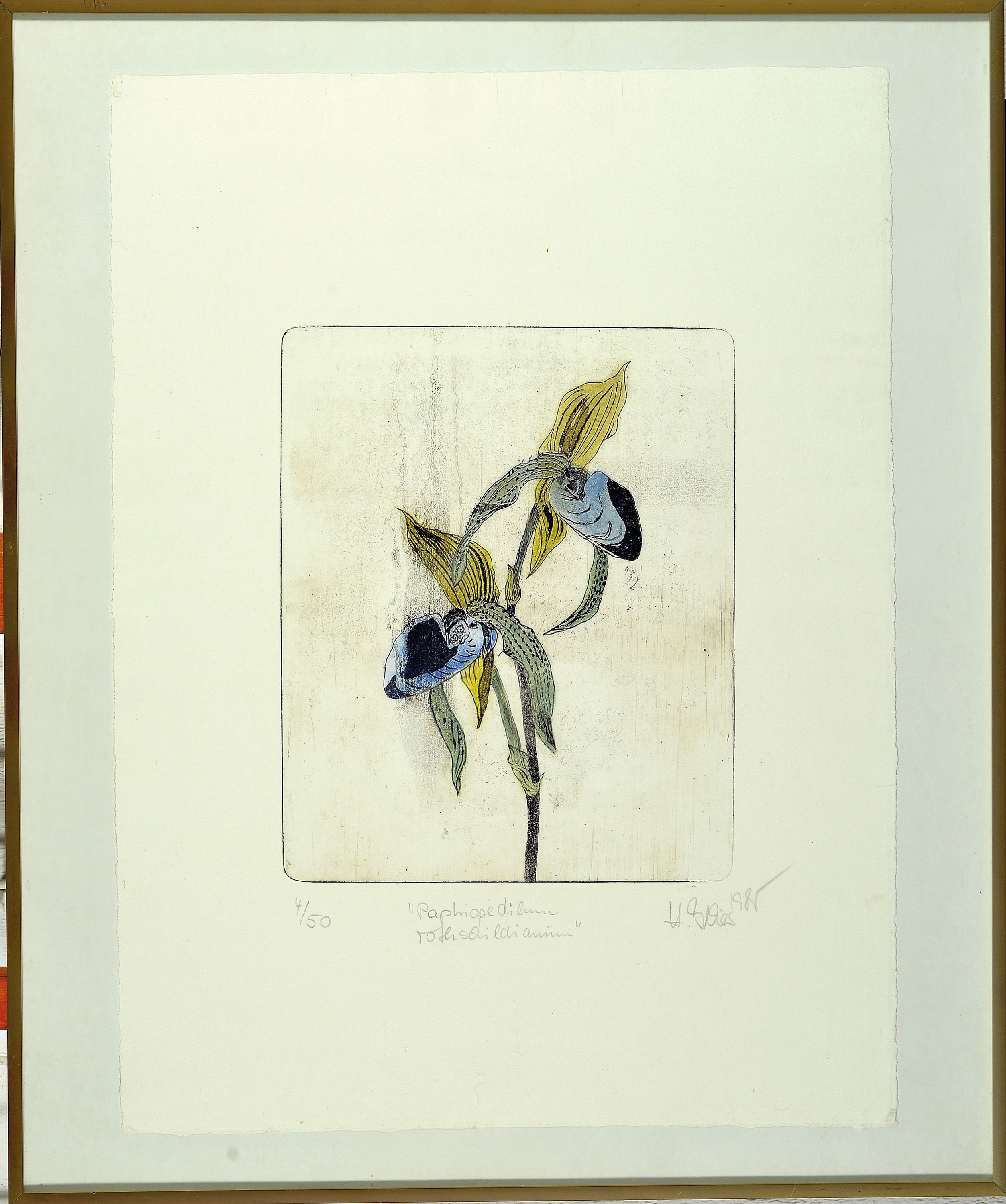 Detail m: Hildegard Illes, in Düsseldorf geborene Künstlerin, ansässig in der Pfalz, hier drei Farbradierungen: 2 x orchideen bez. Paphiodelium ...