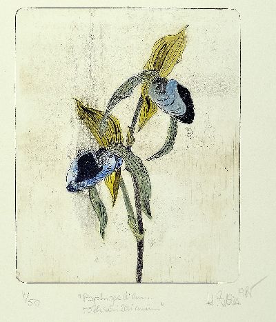 27050664b - Hildegard Illes, in Düsseldorf geborene Künstlerin, ansässig in der Pfalz, hier drei ...