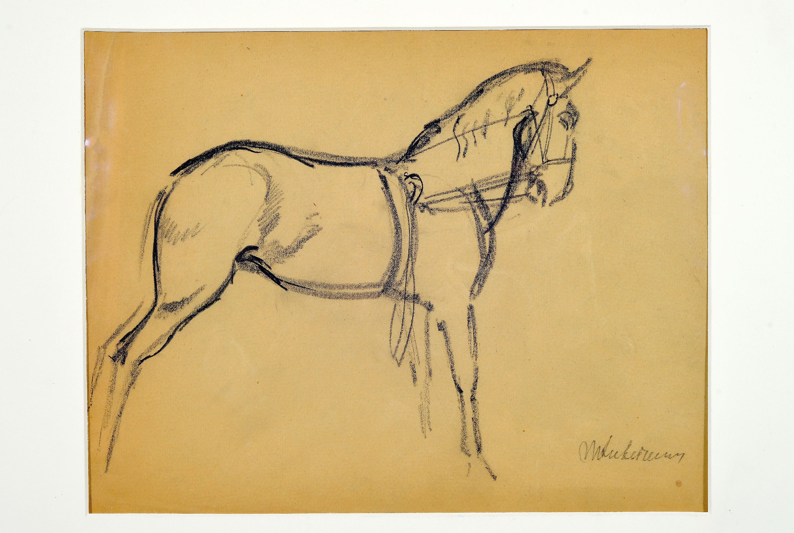 Detail k: Max Liebermann, 1847-1935, signierte Bleistiftzeichnung, Motiv: Zirkuspferd-Studie, Provenienz: aus Berliner Sammlung, seit 1992 in süddeutscher ...