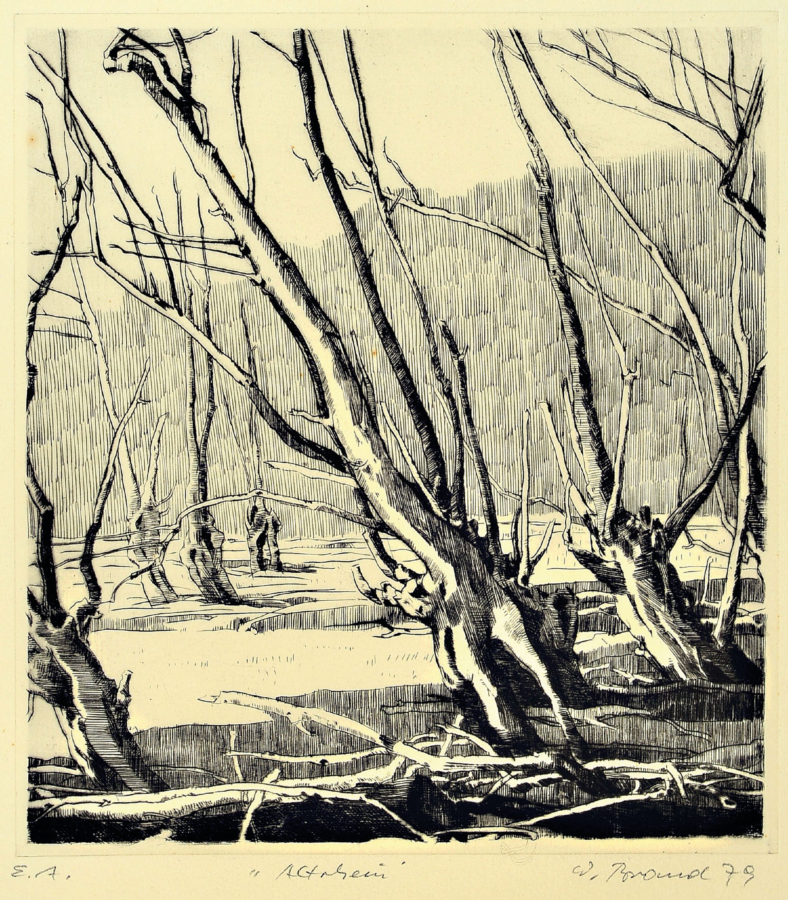 Image 27051887 - Werner Brand, 5 Werke:, Pastell, Bleistiftzeichnung,, zwei Radierungen, alle ...