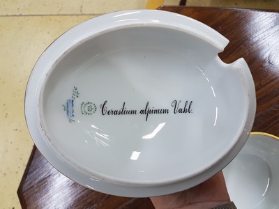 27052573h - Deckeldose/Deckelsauciere, Royal, Copenhagen, Flora Danica, Cerastium alpinum Vahl, ...