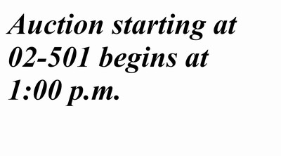 Image Auktion ab 501 beginnt um 13:00 Uhr