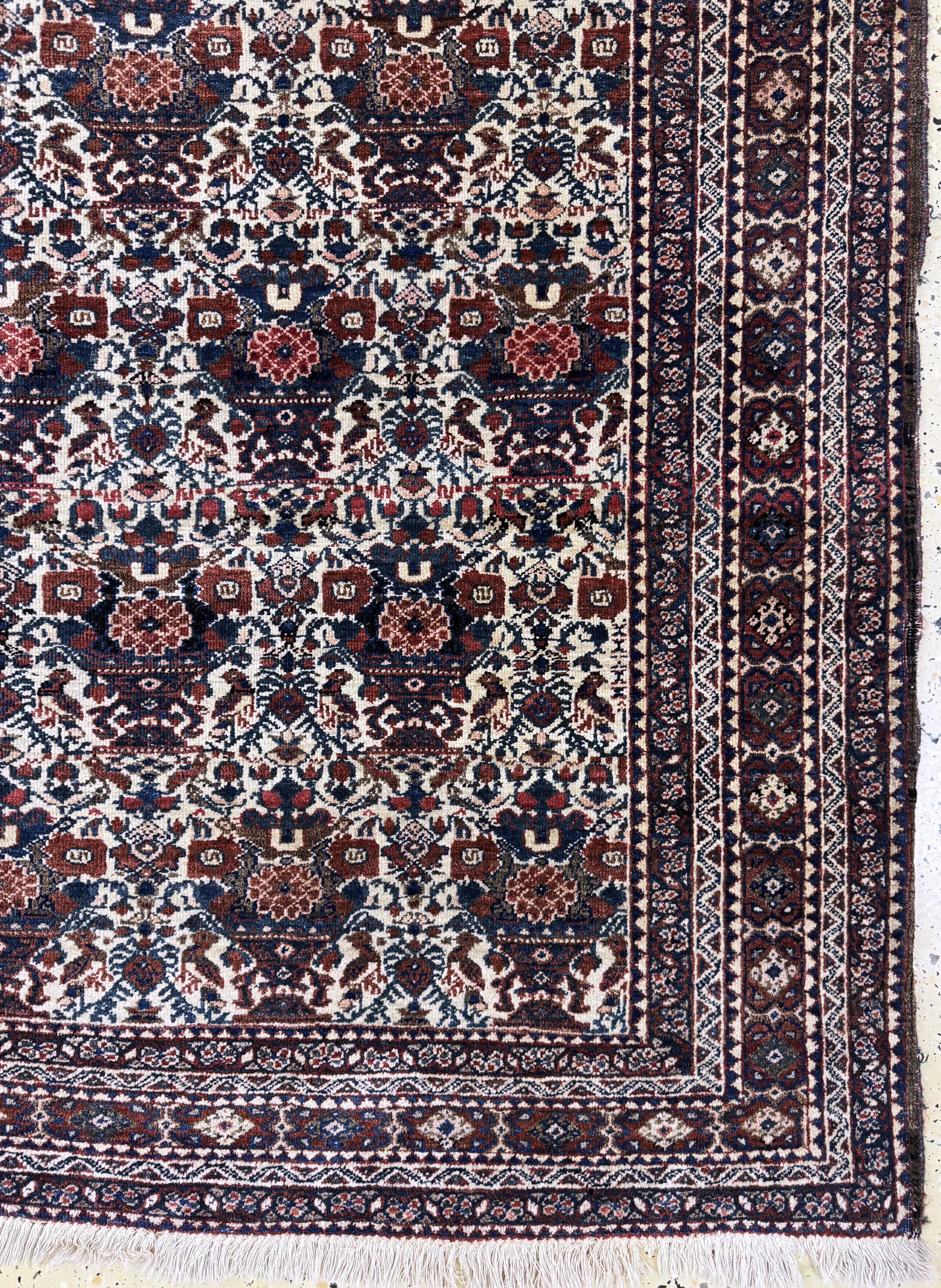 Detail b: Afschar antik, Persien, um 1900, Wolle auf Baumwolle, ca. 199 x 144 cm, EHZ: 2-3