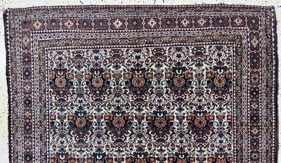 27058154a - Afschar antik, Persien, um 1900, Wolle auf Baumwolle, ca. 199 x 144 cm, EHZ: 2-3 ...