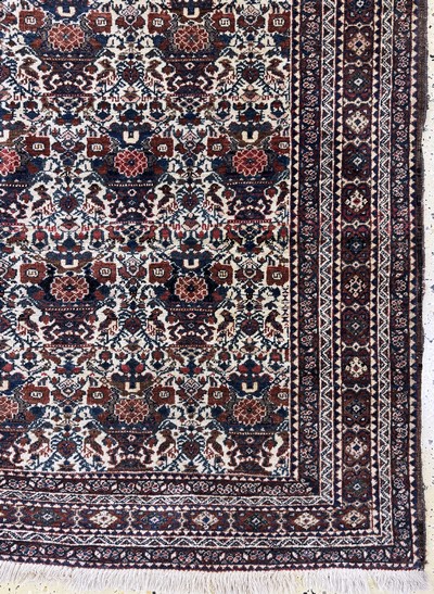 27058154b - Afschar antik, Persien, um 1900, Wolle auf Baumwolle, ca. 199 x 144 cm, EHZ: 2-3 ...