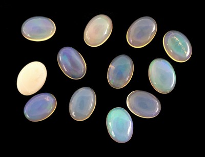 27059201a - Lot 12 lose ovale Opalcabochons zus. ca. 6.00 ct, in versch. Größen und Farbnuancen ...