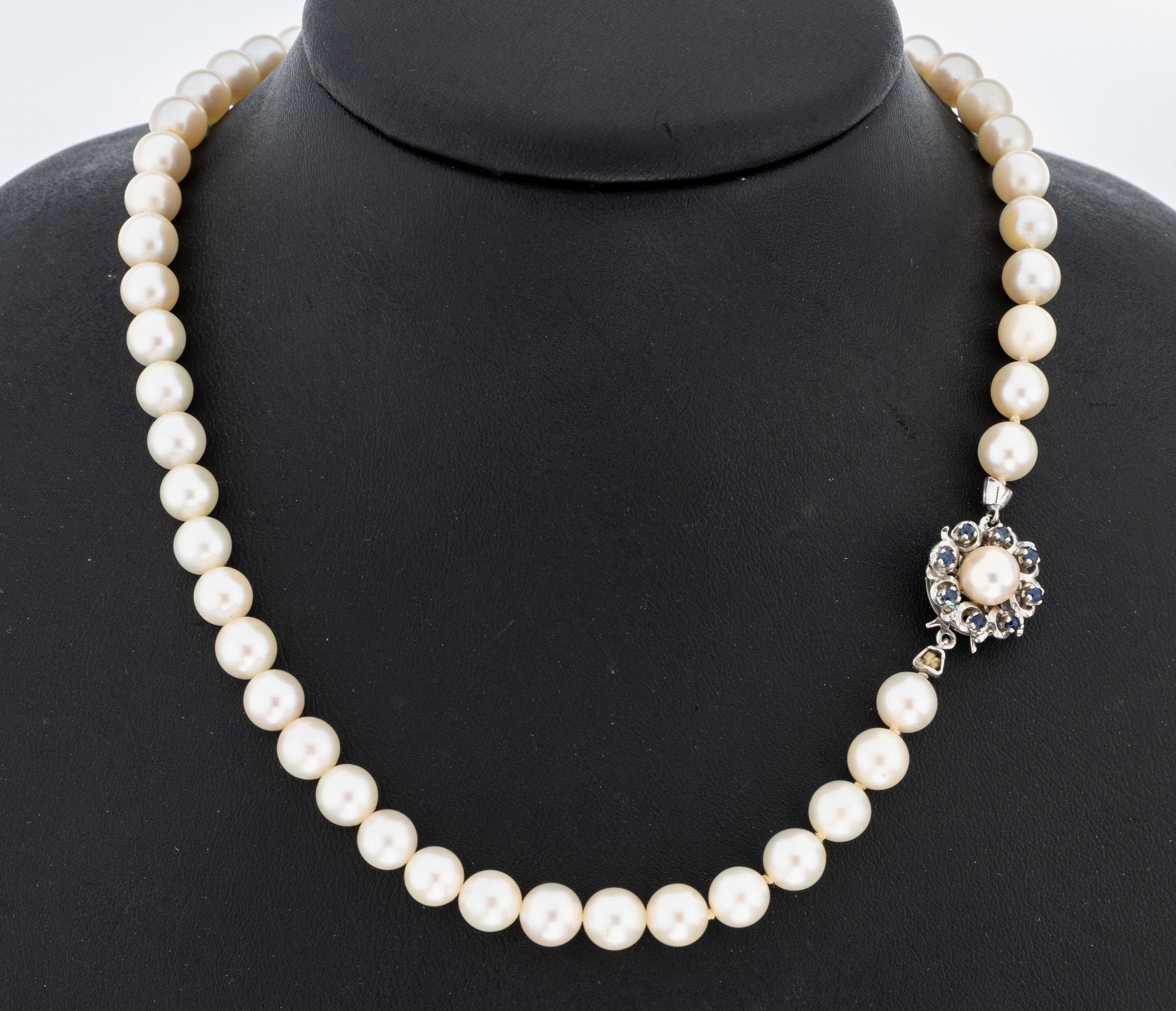 Image 27060414 - Perl-Collier mit 18 kt Gold Saphir- Schmuckschließe, WG 750/000, Akoyazuchtperlen, D. ...